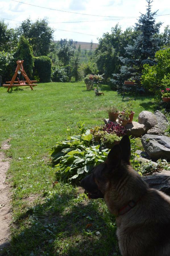 Agroturystyka 'Pod Debem' Giżycko Exterior foto